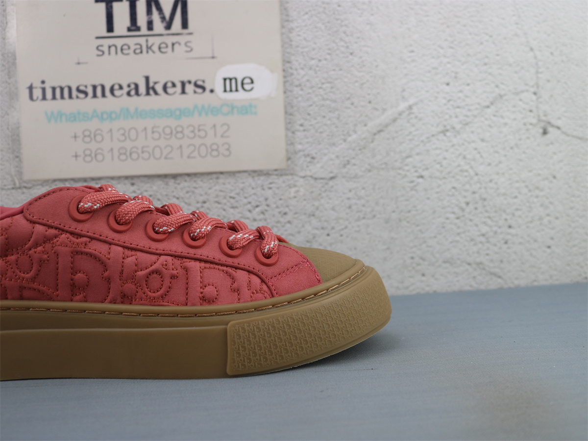 Stone Island x Dior B33 Skateboard Shoes Low-Top Red